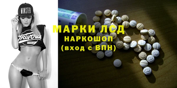 spice Дмитриев