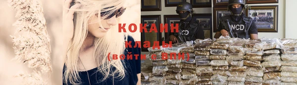кокс Елизово