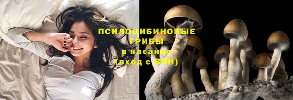 тгк Ельня