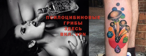 тгк Ельня
