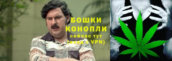 дурь Дмитров