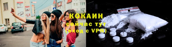 тгк Ельня