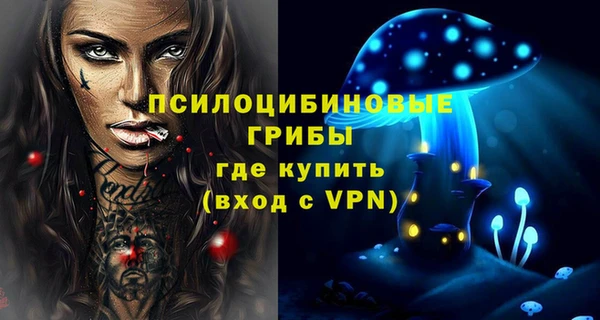 кокс Елизово