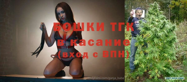 бошки Елабуга