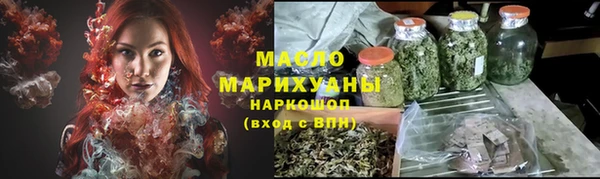 тгк Ельня