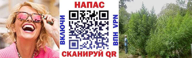 Купить  Луза  Бошки марихуана конопля 